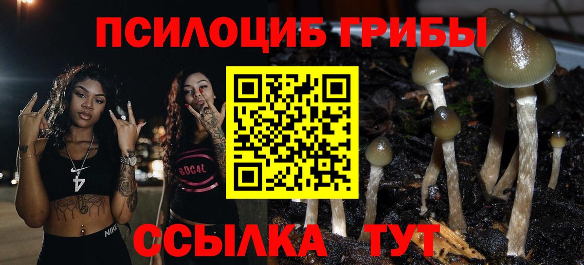 Балтийск  Галлюциногенные грибы Magic Shrooms  Вход с VPN 