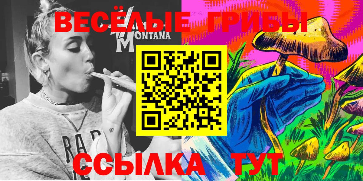 Галлюциногенные грибы ЛСД Балтийск